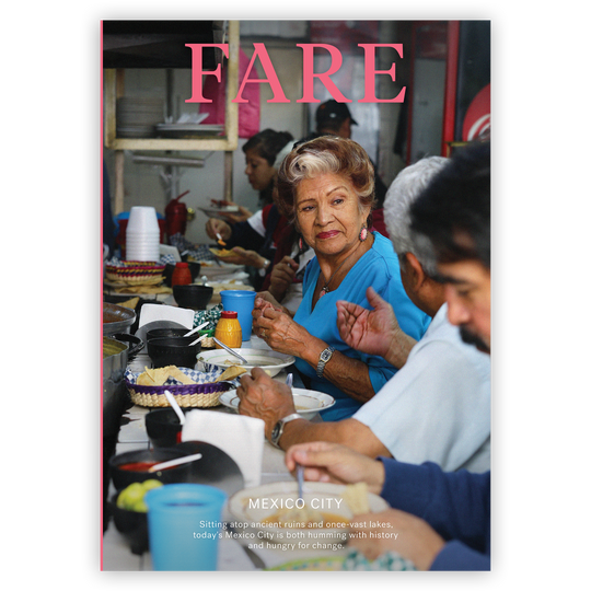 Fare Issue 14: Mexico City